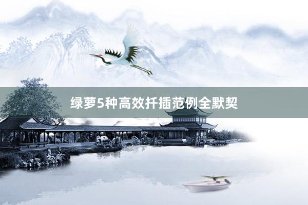 绿萝5种高效扦插范例全默契
