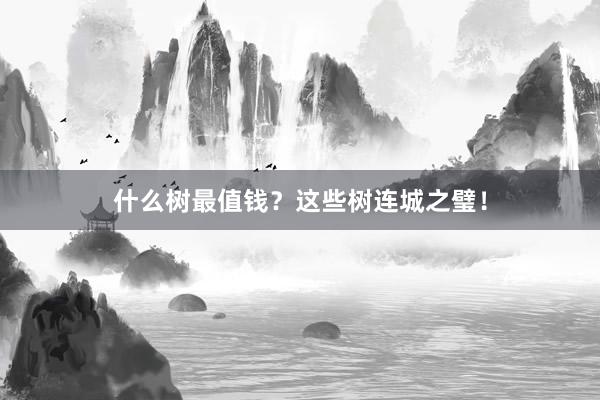 什么树最值钱?这些树连城之璧!